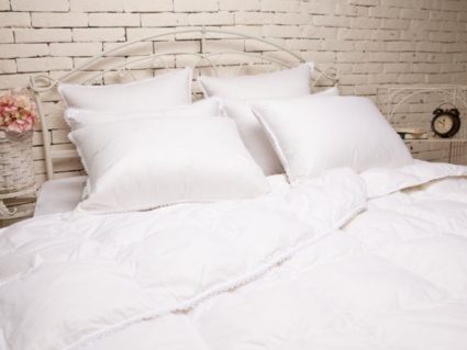 Подушка Nature’S-Natura Sanat Идеальное приданое упругая 50х70