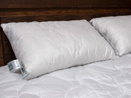 Подушка Nature’S-Natura Sanat Бархатный Бамбук 70х70