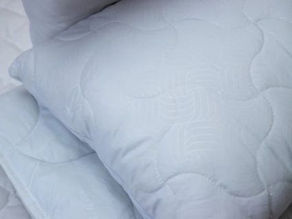 Подушка Nature’S-Natura Sanat Бархатный Бамбук 70х70