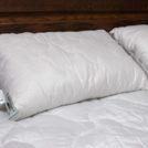 Подушка Nature’S-Natura Sanat Бархатный Бамбук 70х70